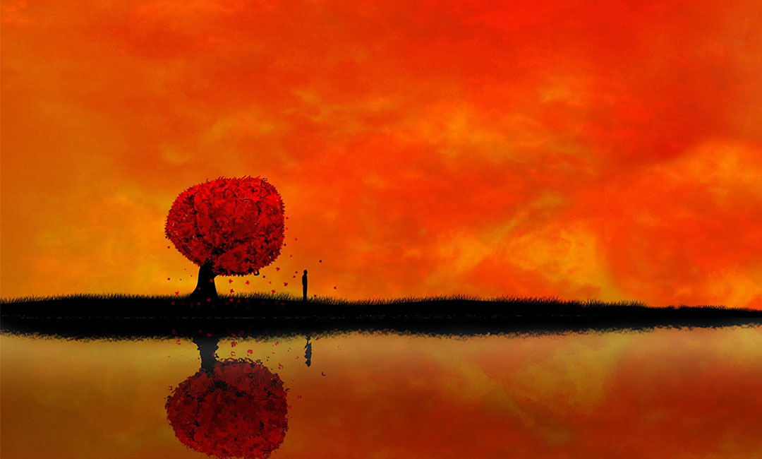 乌鲁木齐笙影微信朋友圈转发案例