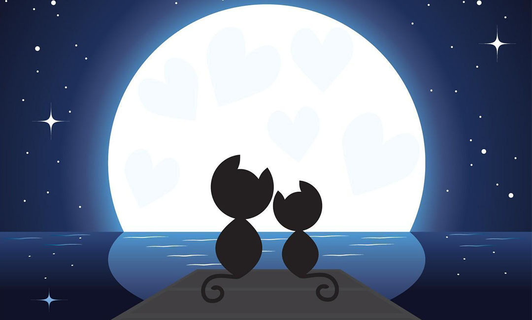 乌鲁木齐潮客汇微信活动策划案例